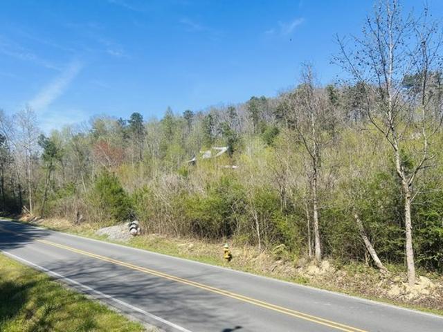 Land for sale in Cohutta, Georgia