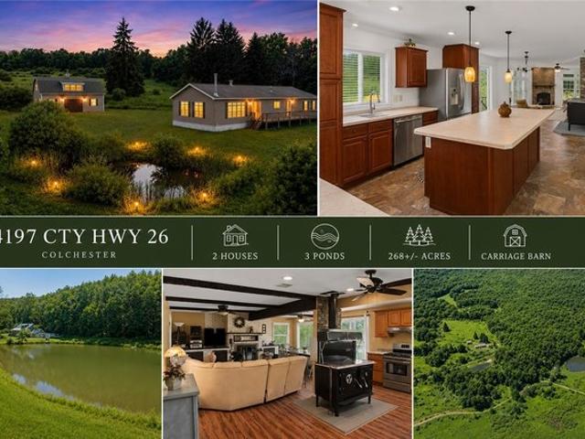 House for sale in Hamden, New York