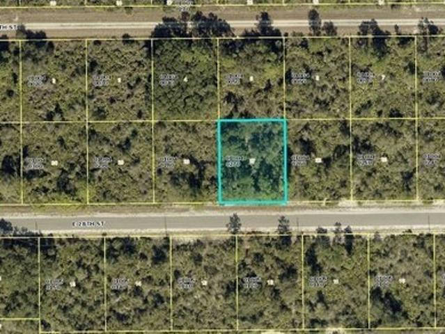 Land for sale in Florida