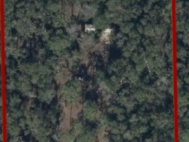 Land for sale in Branford, Suwannee County
