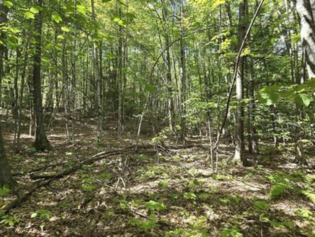 Land for sale in New Hampshire