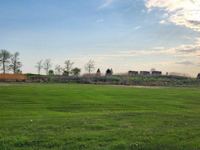 Land for sale in Sheffield, Iowa