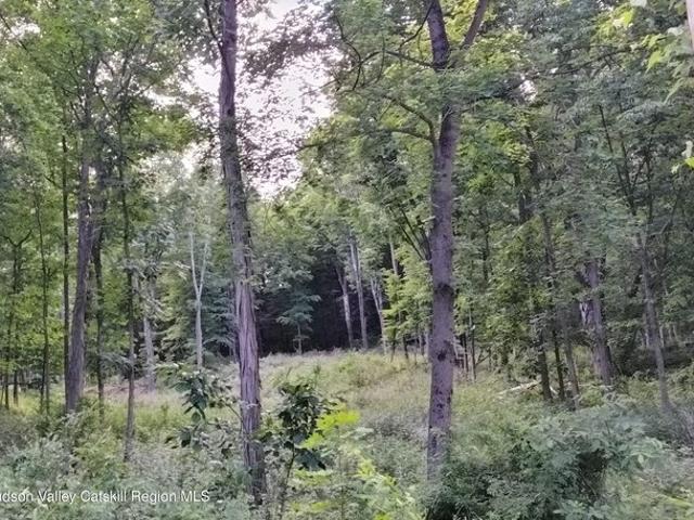 Land for sale in Catskill, New York