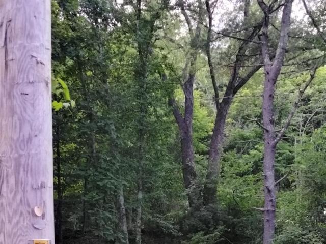 Land for sale in Catskill, New York