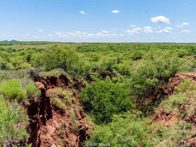 Land for sale in Aspermont