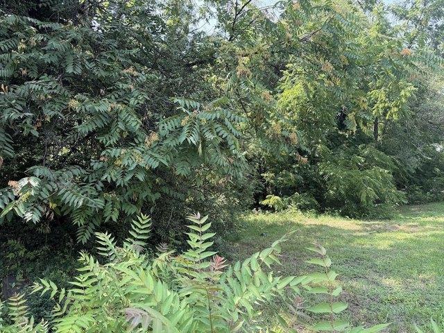 Land for sale in Virginia