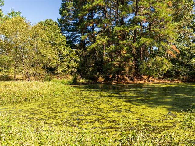 Land for sale in Huntington, Texas