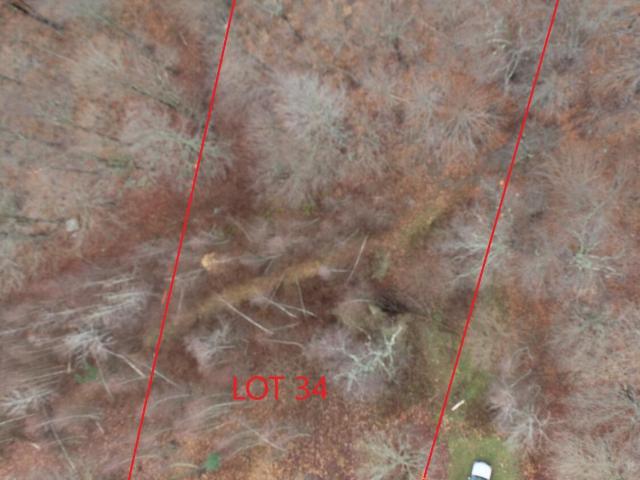 Land for sale in Forest City, Pennsylvania