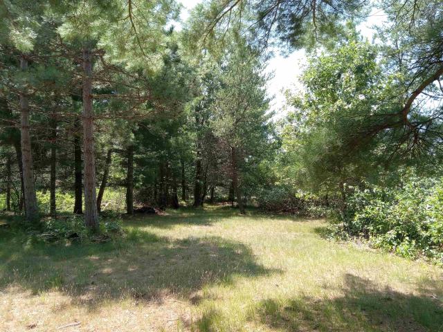 Land for sale in Nekoosa, Wisconsin