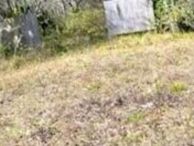 Land for sale in East Palatka, Florida