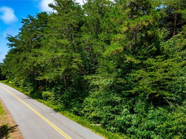 Land for sale in Six Mile Run, South Carolina