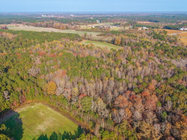 Land for sale in Wallace, North Carolina