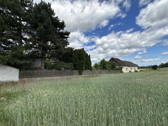 Landwirtschaft kaufen in Gföhl, Niederösterreich