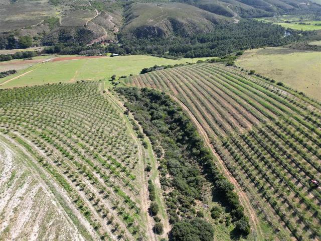 Commercial Land for sale in Garden Route