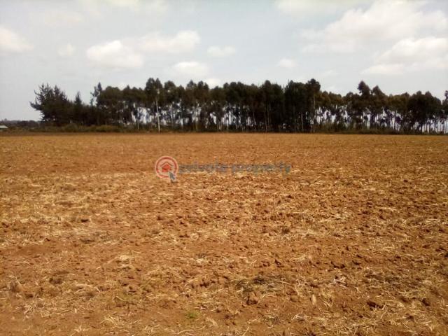 Land for sale in Buuri, Tigania
