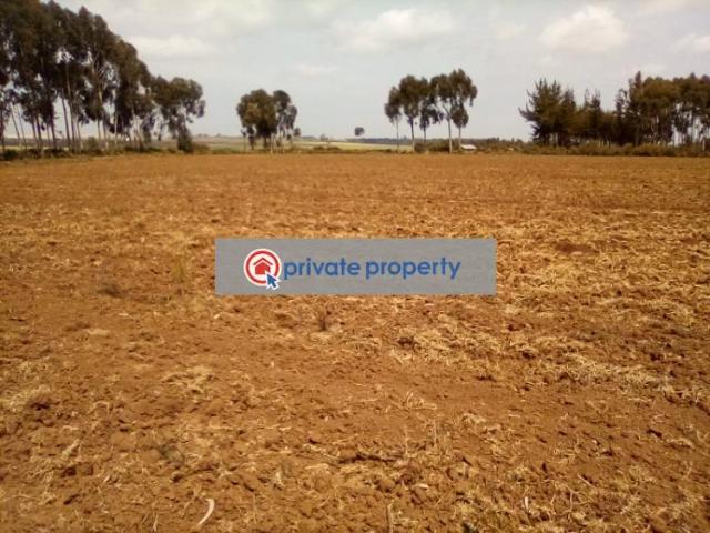 Property for sale in Buuri, Tigania