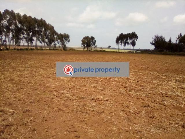 Property for sale in Buuri, Tigania