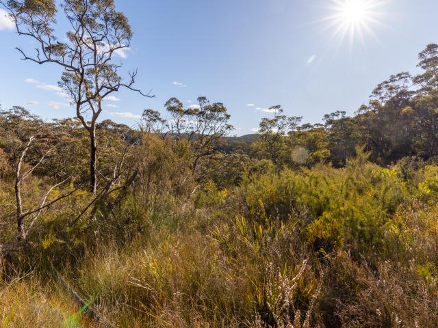 Property for sale in Bullaburra, New South Wales