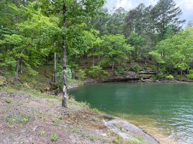 Land for sale in Double Springs, Alabama