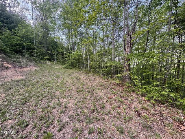 Land for sale in Tennessee