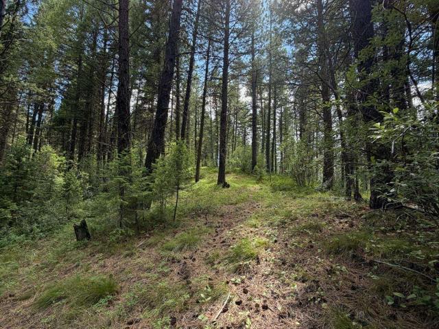 Land for sale in Cascade, Idaho
