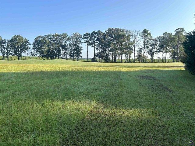 House for sale in Hawkinsville, Pulaski County
