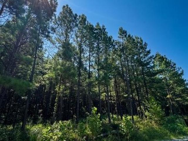 Land for sale in Broken Bow, Oklahoma