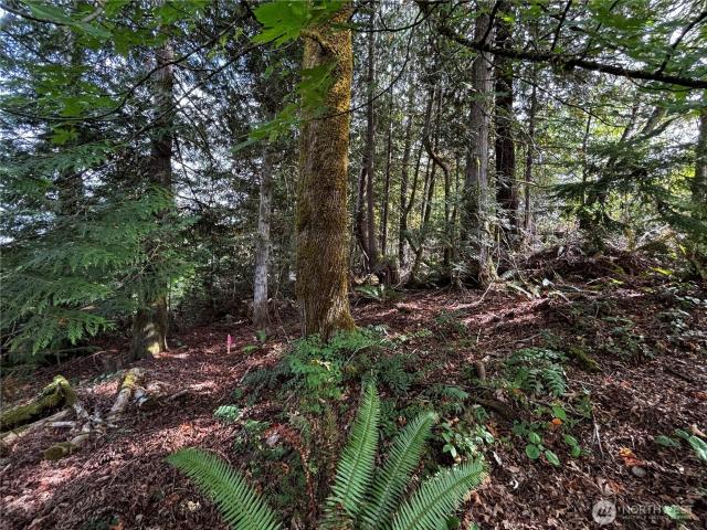 Land for sale in Union, Mason County