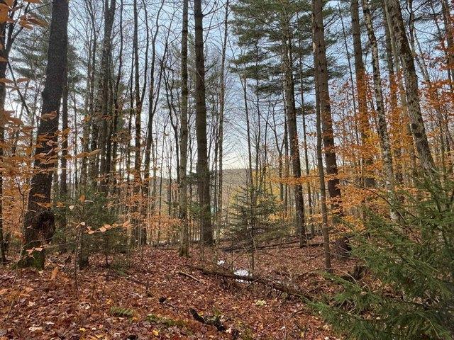 Land for sale in Worcester, Vermont