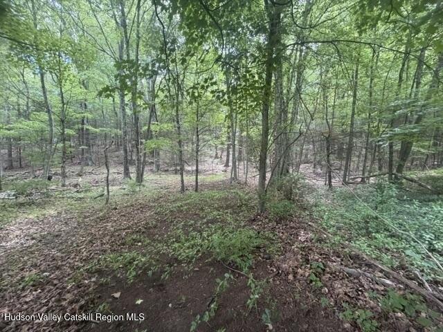 Land for sale in Bloomington, New York