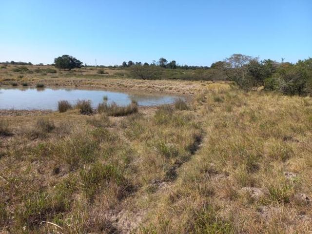 Land for sale in Bushmans River Mouth, Eastern Cape
