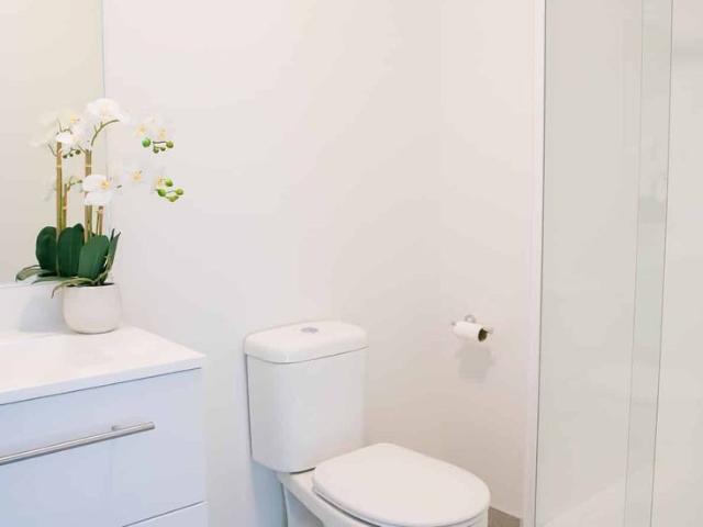 Apartment for rent in Paremoremo