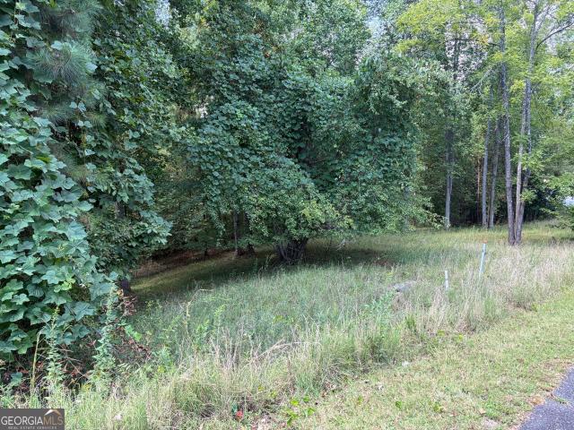 Land for sale in Young Harris, Towns County