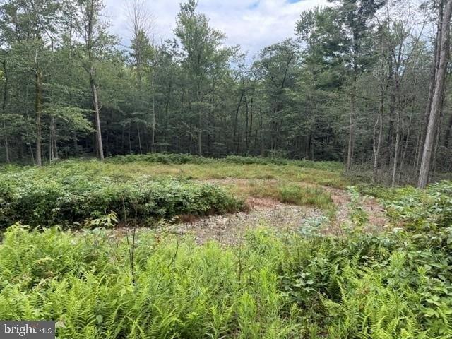 Land for sale in Coudersport, Pennsylvania