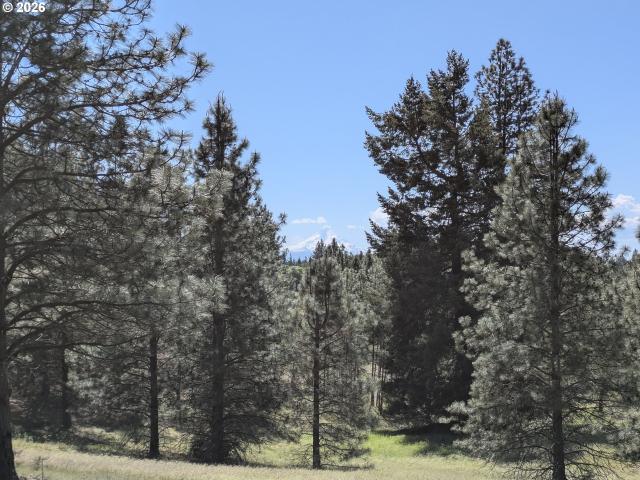 Land for sale in Lyle, Washington
