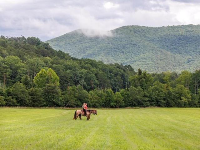 Land for sale in Virginia