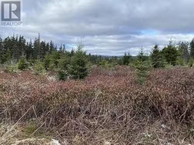 House for sale in Port De Grave, Newfoundland And Labrador