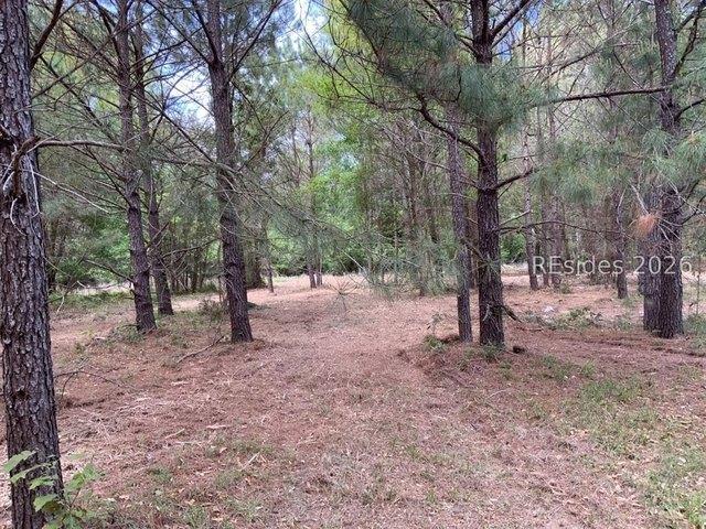 Land for sale in South Carolina