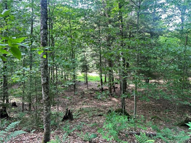 Land for sale in Town of Inlet, Hamilton County