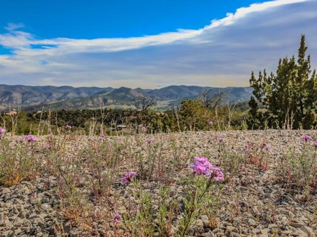 Land for sale in High Rolls Mountain Park, New Mexico