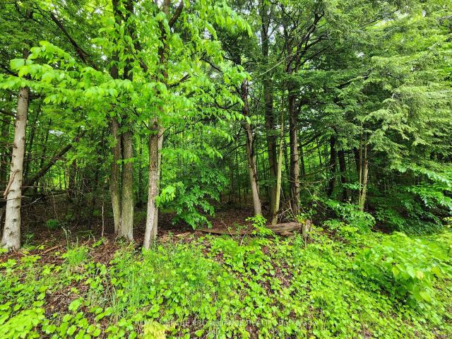 Land for sale in Trent Hills, Ontario