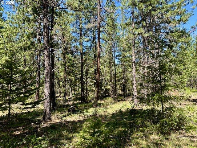 Land for sale in Goldendale, Washington