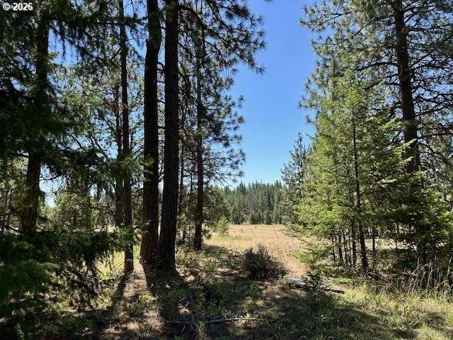 Land for sale in Goldendale, Washington