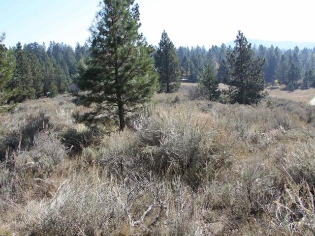 Land for sale in Cascade, Idaho