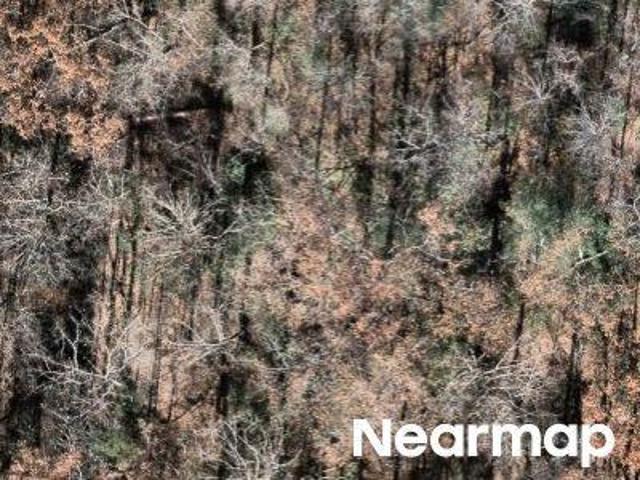 Property for sale in Hayesville, North Carolina