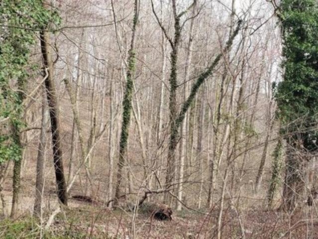 Land for sale in Chesapeake Beach, Maryland