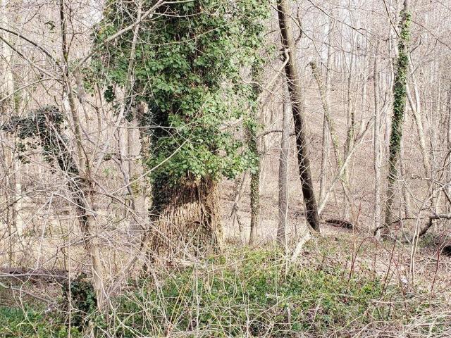 Land for sale in Chesapeake Beach, Maryland