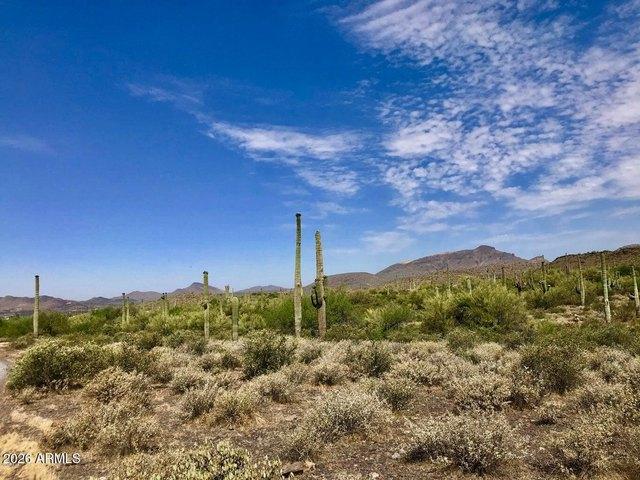 Land for sale in Cave Creek, Arizona