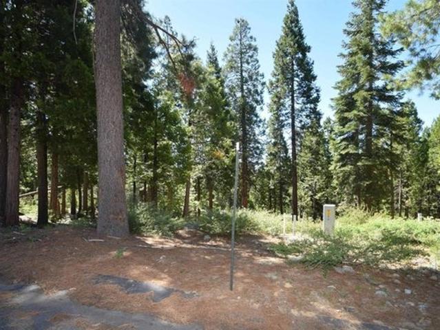 Land for sale in Shaver Lake, California