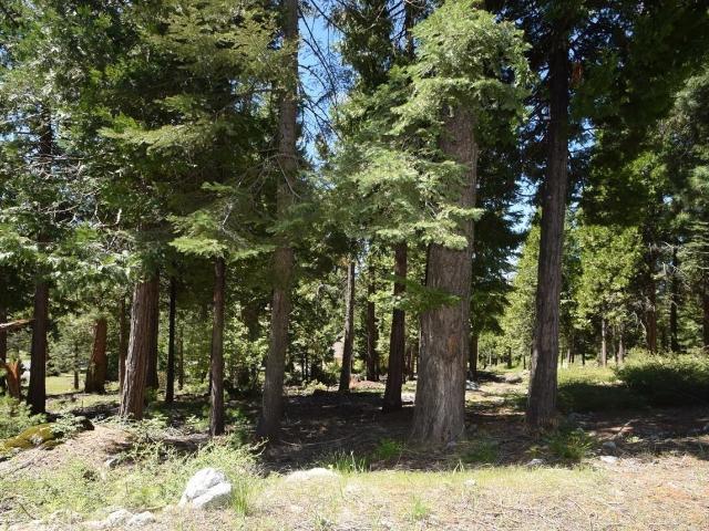 Property for sale in Shaver Lake, California